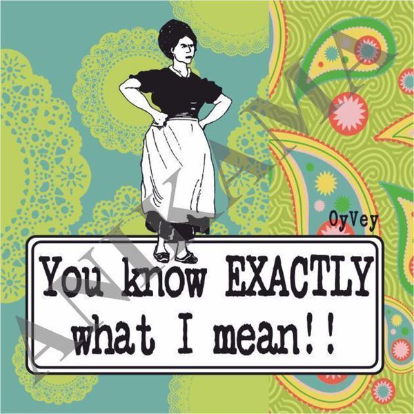 תמונה של You know exactly what I mean Magnet
