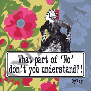 תמונה של What part of no don't you understand Magnet