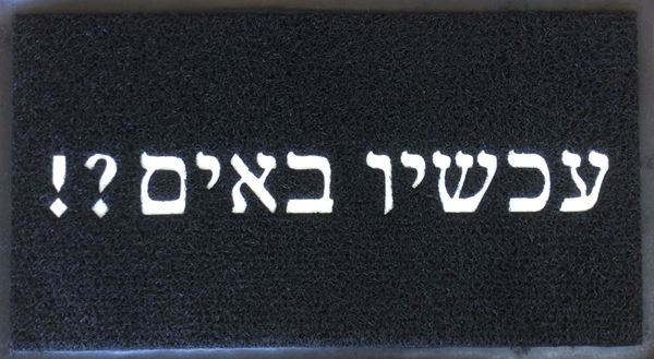 תמונה של שטיח כניסה