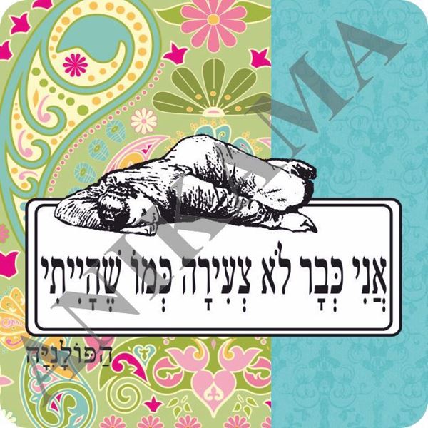 תמונה של מגנט אני כבר לא צעירה כמו שהייתי