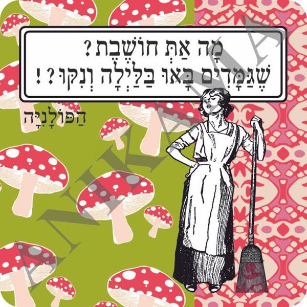 תמונה של מגנט מה את חושבת שגמדים באו בלילה וניקו