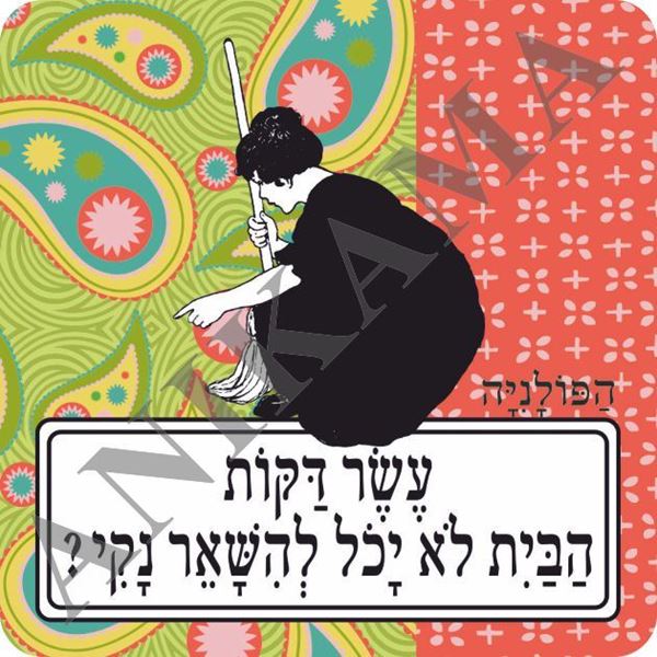 תמונה של מגנט עשר דקות הבית לא יכול להישאר נקי