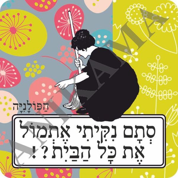 תמונה של מגנט סתם ניקיתי אתמול את כל הבית
