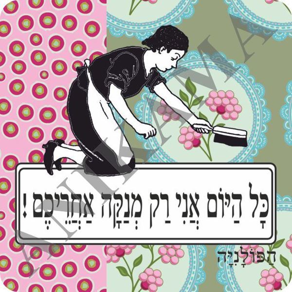תמונה של מגנט כל היום אני רק מנקה אחריכם