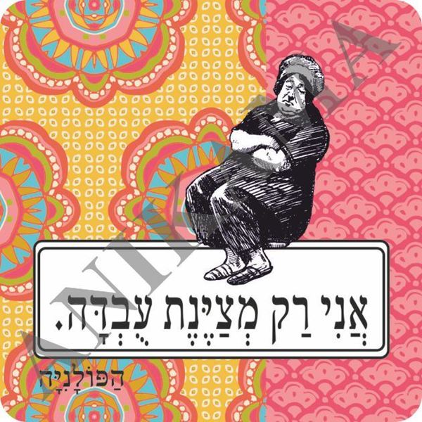 תמונה של מגנט אני רק מציינת עובדה