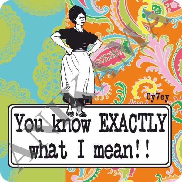 תמונה של You know exactly what I mean Magnet